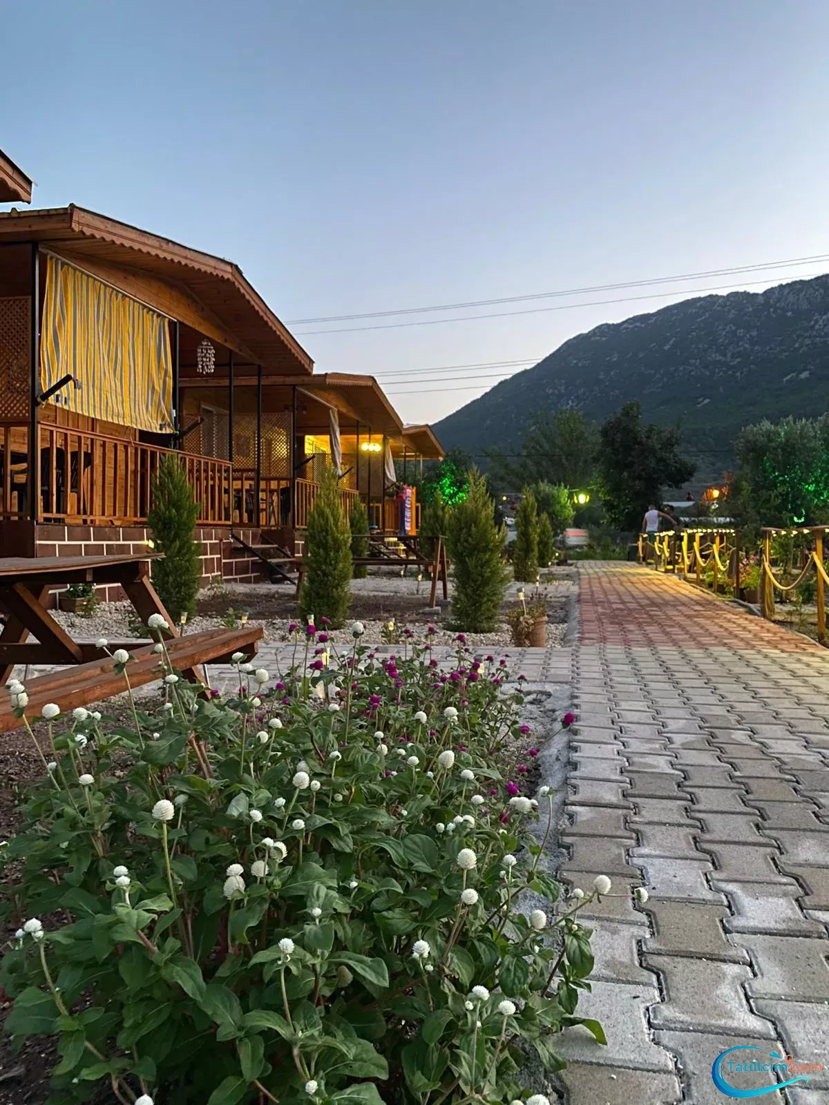 tatilcim.com Adrasan Yeşim Apart Evleri 